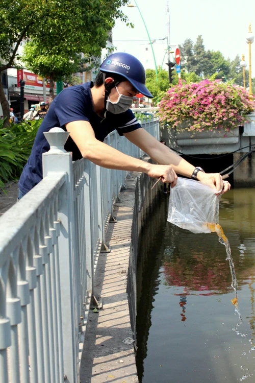 Cá chép vừa thả xuống kênh đã có người canh để bắt lại ảnh 5