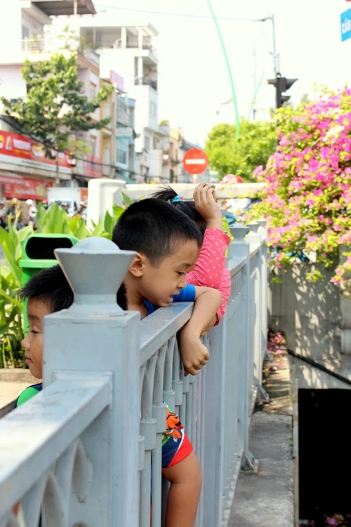 Cá chép vừa thả xuống kênh đã có người canh để bắt lại ảnh 7