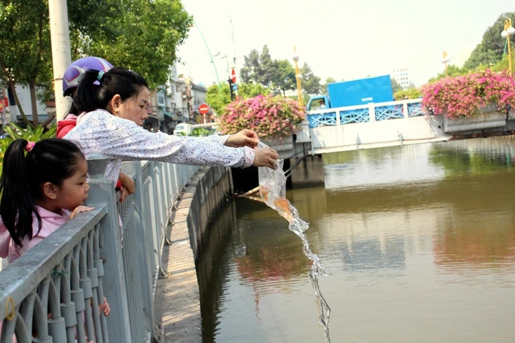 Cá chép vừa thả xuống kênh đã có người canh để bắt lại ảnh 4