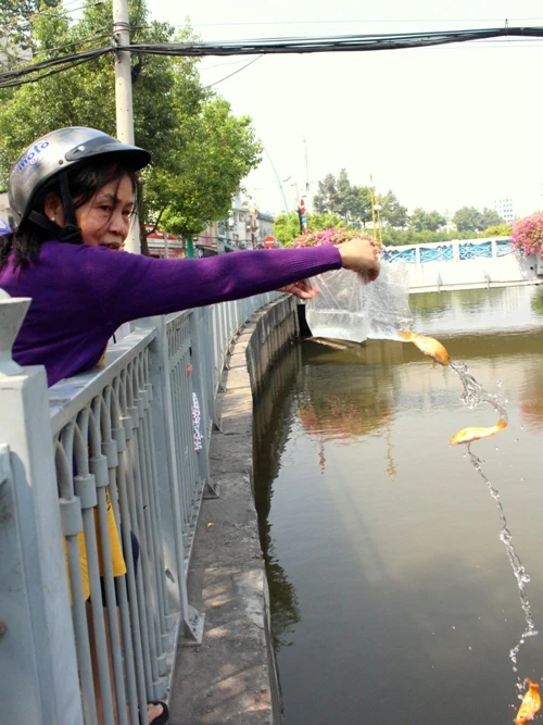 Cá chép vừa thả xuống kênh đã có người canh để bắt lại ảnh 3