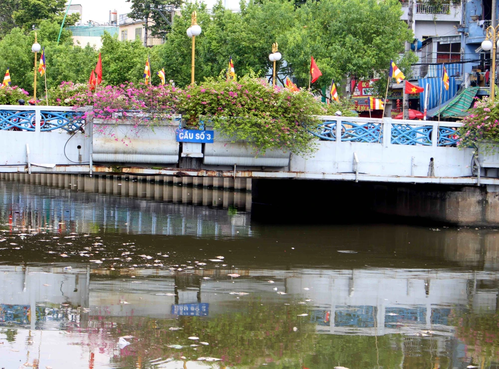 Sáng còn ngoi ngóp, chiều cá đã chết trắng xóa kênh Nhiêu Lộc ảnh 7 Sáng còn ngoi ngóp, chiều cá đã chết trắng xóa kênh Nhiêu Lộc ảnh 7