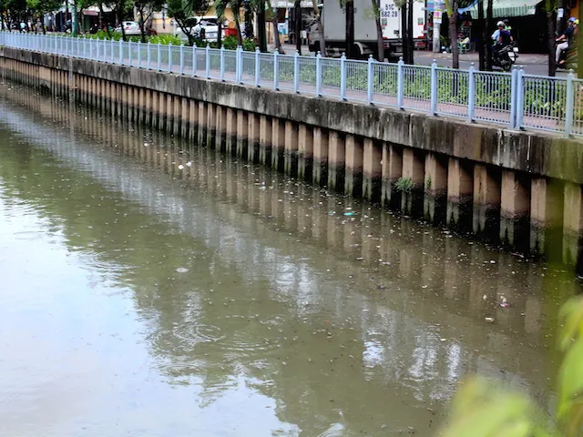 Cá nổi lên hàng loạt trên kênh Nhiêu Lộc - Thị Nghè - Ảnh: Hồng Trâm