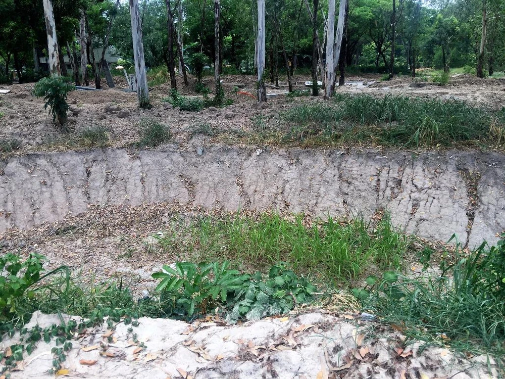 Đi công viên Gia Định, coi chừng... lọt hố! ảnh 4