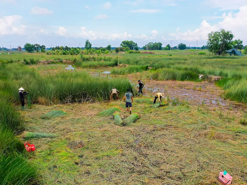 Ống hút tre, cỏ bàng Việt trên bàn tiệc châu Âu ảnh 2 Ống hút tre, cỏ bàng Việt trên bàn tiệc châu Âu ảnh 2