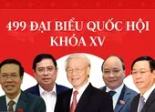Infographic: Chân dung 499 đại biểu Quốc hội khóa XV