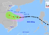 Bão số 5 cách bờ biển Quảng Trị-Quảng Nam khoảng 230 km