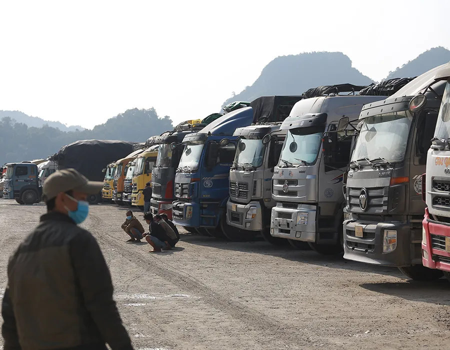 Thủ tướng: Cứ bán tiểu ngạch thì​ nông sản còn​ gặp khó ảnh 2