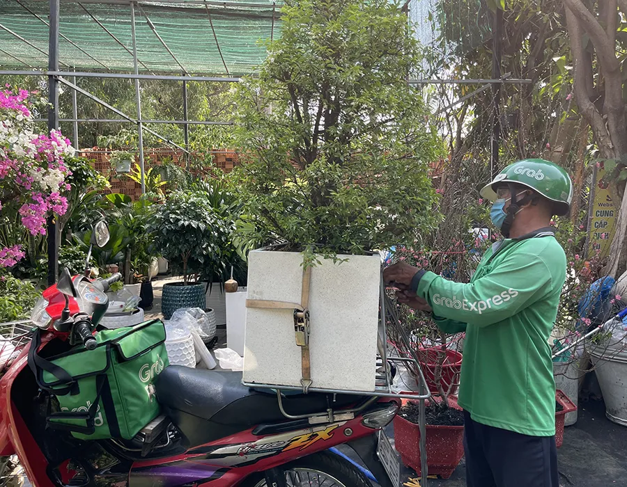 Nhà vườn nhộn nhịp lên mạng bán hoa tết, ship tận cửa ảnh 2