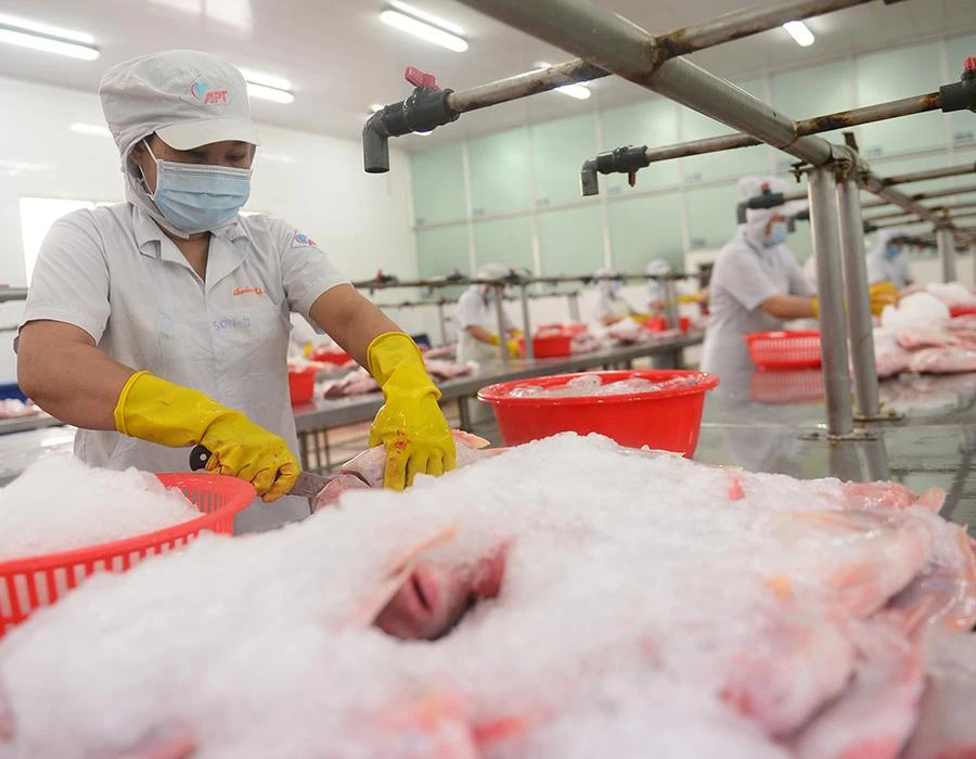 Người lao động làm việc tại một công ty ở TP.HCM. Ảnh: HOÀNG GIANG