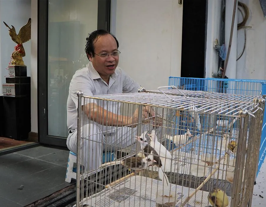Mỗi ngày anh Nhân lại ra thăm chim, quan sát thái độ của chúng để biết chúng đang khỏe hay ốm. Ảnh: MINH TÂM