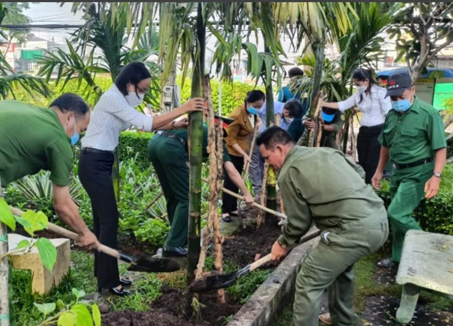 Người dân xã Tân Thới Nhì, huyện Hóc Môn, TP.HCM đang trồng cây cau, dây trầu. Ảnh: TRẦN NGỌC