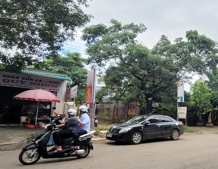 Sáu lô đất ở đường Lý Tự Trọng được giao cho sáu hộ dân sau 12 năm bảo lưu kết quả đấu giá. Ảnh: VŨ LONG