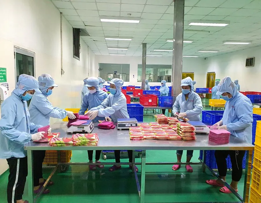 Doanh nghiệp đang sản xuất bánh tráng, bún, phở… xuất khẩu sang thị trường Mỹ. Ảnh: TÚ UYÊN Doanh nghiệp đang sản xuất bánh tráng, bún, phở… xuất khẩu sang thị trường Mỹ. Ảnh: TÚ UYÊN