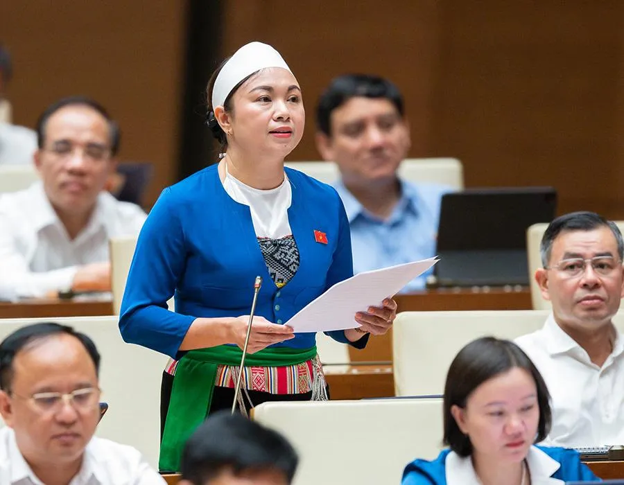 ĐBQH Đặng Bích Ngọc (Hòa Bình) tại phiên thảo luận của Quốc hội về tình hình thực hiện tiết kiệm, chống lãng phí, ngày 31-10. Ảnh: Quochoi.vn