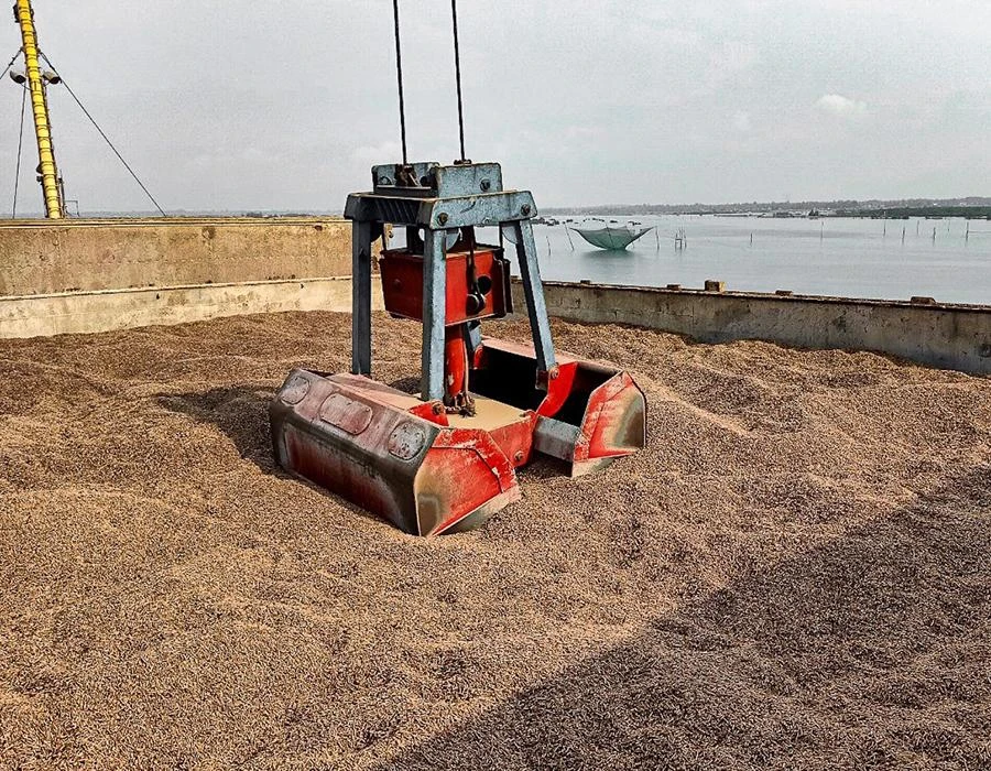 Viên nén gỗ chuẩn bị được đóng gói, xuất khẩu. Ảnh: QUANG HUY