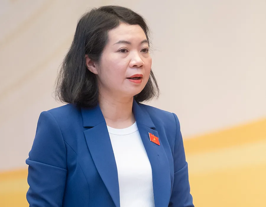 Phó Chủ nhiệm Ủy ban Tư pháp Mai Thị Phương Hoa tại phiên giải trình. Ảnh: PHẠM THẮNG Phó Chủ nhiệm Ủy ban Tư pháp Mai Thị Phương Hoa tại phiên giải trình. Ảnh: PHẠM THẮNG