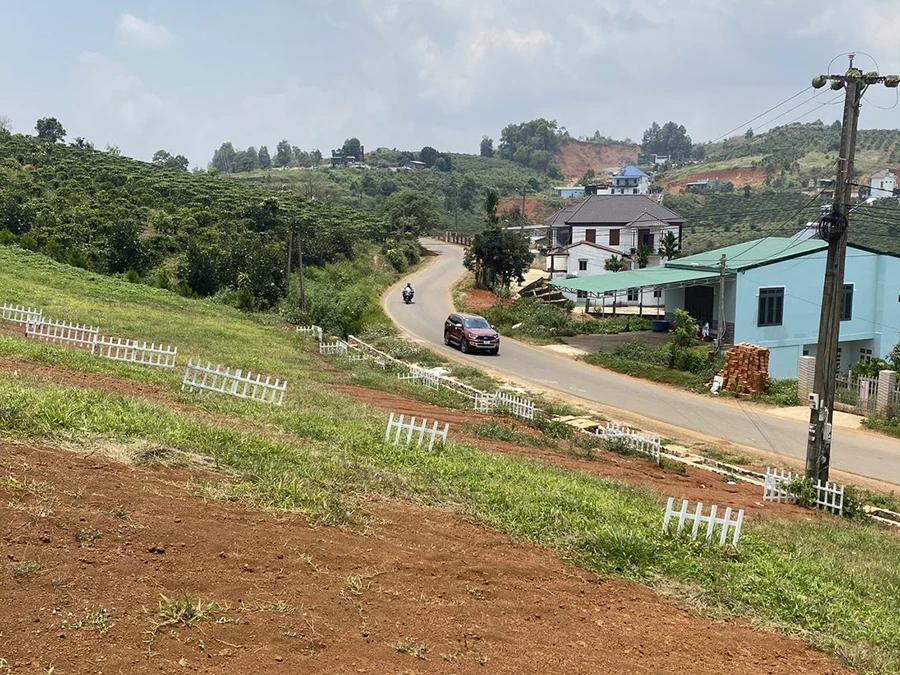 Đất nền Lâm Đồng từng là phân khúc được săn đón rất mạnh trong giai đoạn 2020-2022. Ảnh: VÕ TÙNG