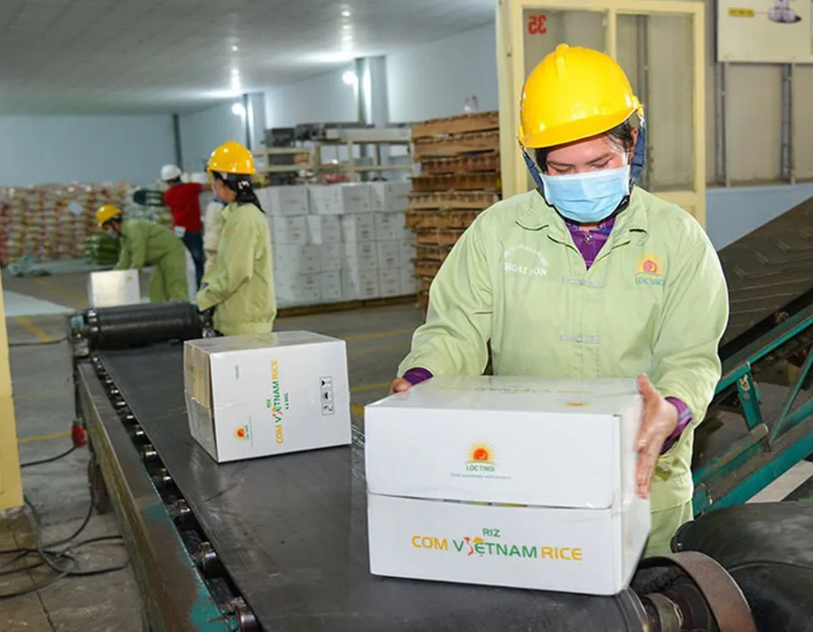 Xuất khẩu gạo của Việt Nam được các chuyên gia đánh giá đang đứng trước thời cơ rất tốt. Ảnh: Q.HUY