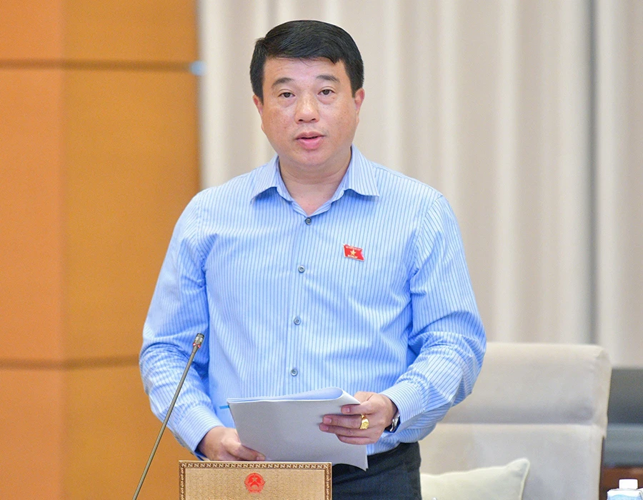 Chủ tịch Hội đồng Dân tộc của Quốc hội Y Thanh Hà Niê Kđăm, Phó Trưởng Đoàn thường trực Đoàn giám sát, phát biểu tại phiên họp. Ảnh: QH