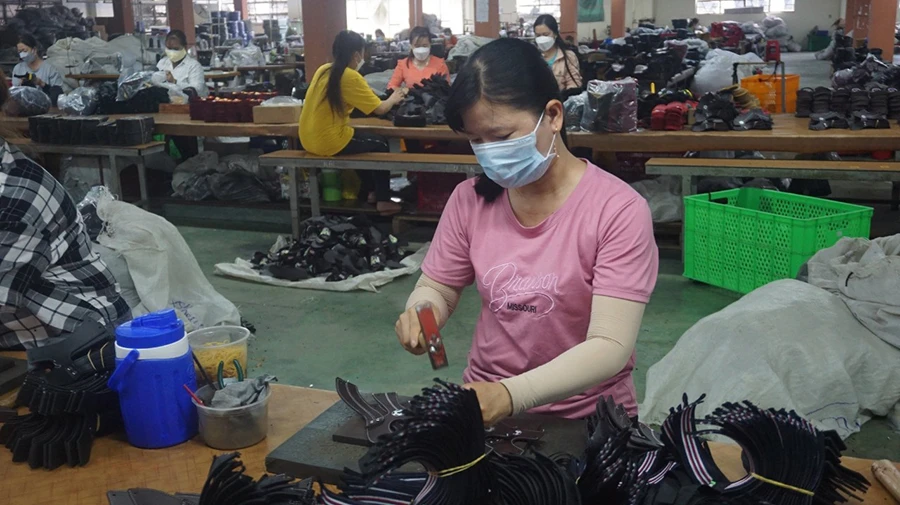 Quy định nhận BHXH một lần sẽ được nghiên cứu nhằm đảm bảo quyền lợi của người lao động. Ảnh minh họa: HUỲNH DU