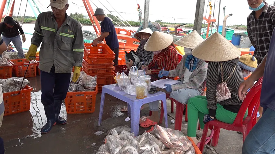Bà con mua bán thủy sản tại cảng cá Gành Hào. Ảnh: TRẦN VŨ H3-P2-3_IUU_bai chinh_3h_Anh_Man.jpg