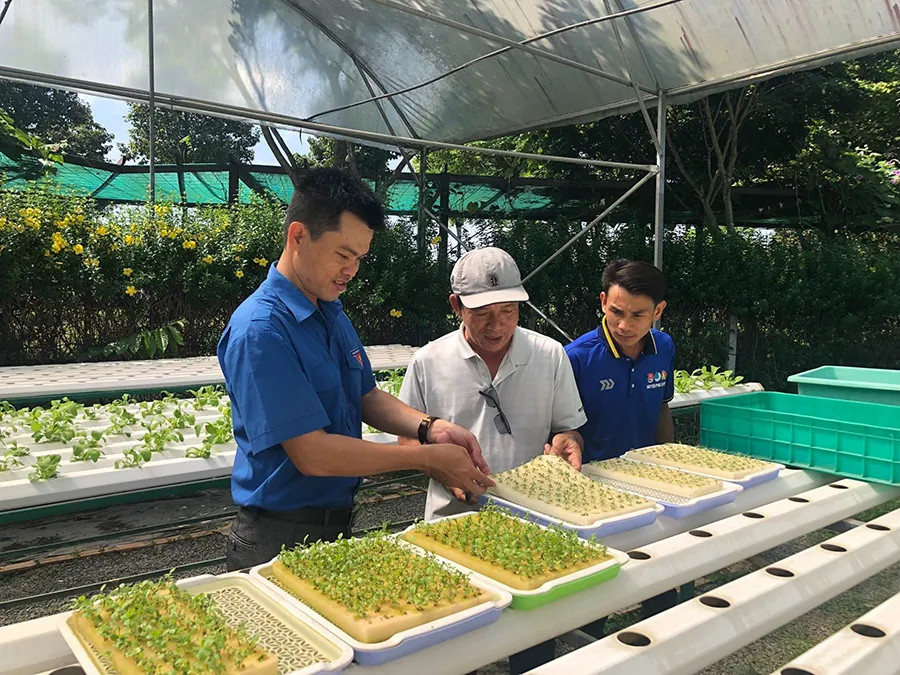 Anh Lưu tập huấn kỹ thuật ứng dụng công nghệ cao trong nông nghiệp cho bà con nông dân tại các xã ở huyện Hóc Môn (TP.HCM). Ảnh: TL Anh Lưu tập huấn kỹ thuật ứng dụng công nghệ cao trong nông nghiệp cho bà con nông dân tại các xã ở huyện Hóc Môn