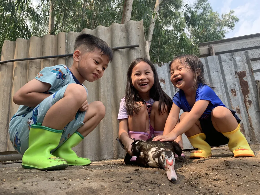 Khu đất của bà Trần Ái Dung ở xã Bình Lợi, huyện Bình Chánh đang có giá đất là 22,8 triệu đồng/m2, gấp 22 lần bảng giá đất hiện hành. Ảnh: VH 29-P23-BAI-VIETHOA-HÌNH CHÍNH.jpg