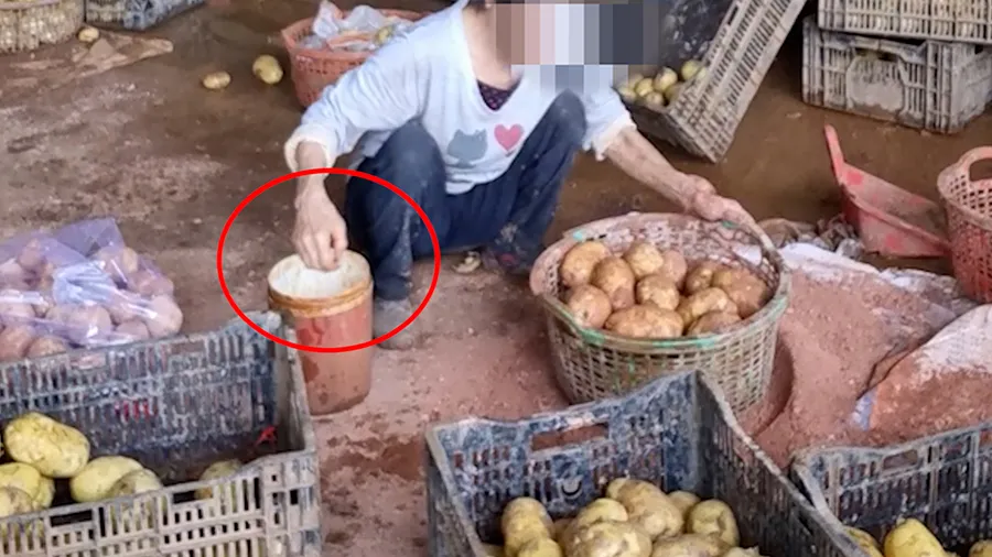 Khoai tây Trung Quốc được rửa bằng vòi nước, sau đó các công nhân rửa và phân loại rồi rắc nước, trộn đất đỏ tại vựa khoai tây Toàn Luyện ở huyện Đức Trọng, Lâm Đồng. P45_PHU3_dieutra_nhompv_ttam.jpg
