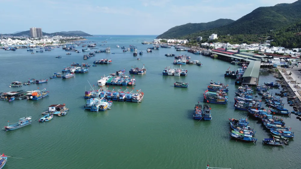 P23_Chuyende 1_Chinh_h2.jpg