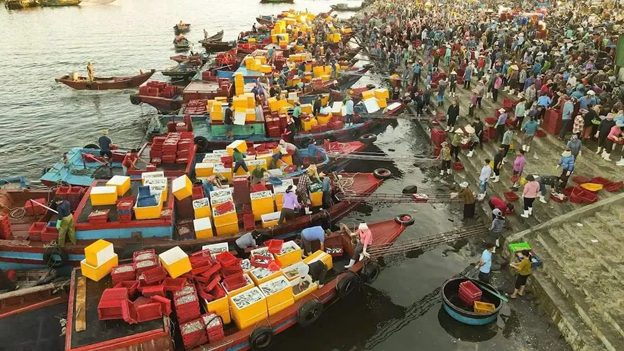 Ngư dân Nghệ An làm giàu từ biển