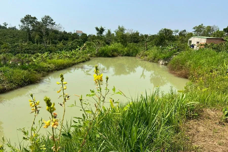 Khu vực 3 học sinh trên địa bàn huyện Krông Năng tử vong trước đó. Ảnh: XB