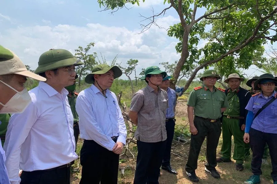 Bí thư Tỉnh ủy cùng đoàn công tác kiểm tra hiện trường vụ phá rừng. Ảnh AH