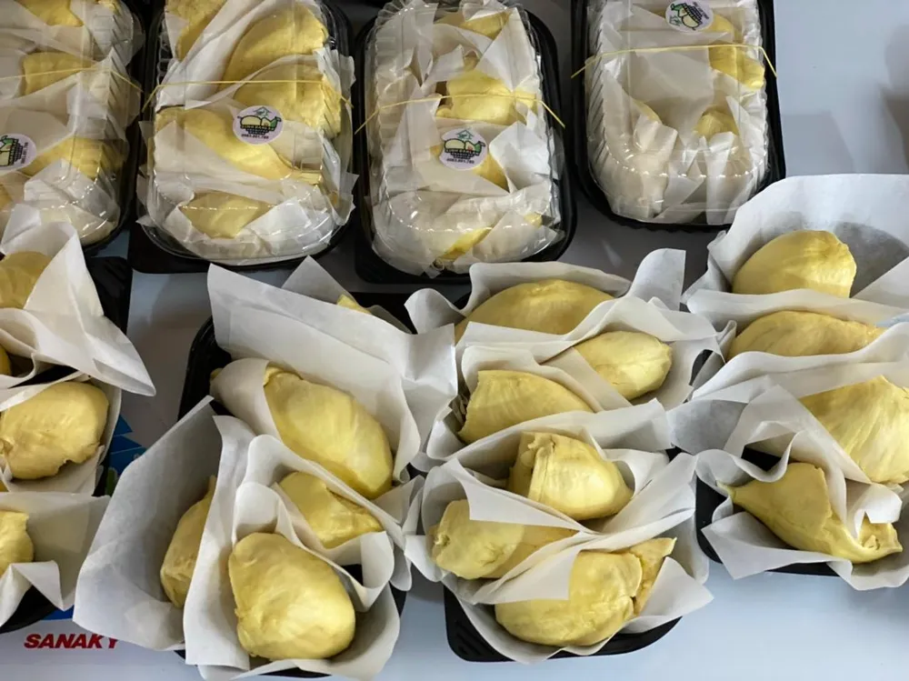 Sầu riêng là đặc sản làm giàu cho nhiều người dân Tây Nguyên. Ảnh: NP Sầu riêng là đặc sản làm giàu cho nhiều người dân Tây Nguyên. Ảnh: NP