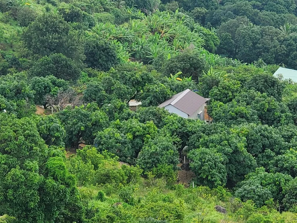 Trước đó, qua kiểm tra, lực lượng chức năng phát hiện nhiều công trình xây dựng sai phép, không phép. Ảnh ON