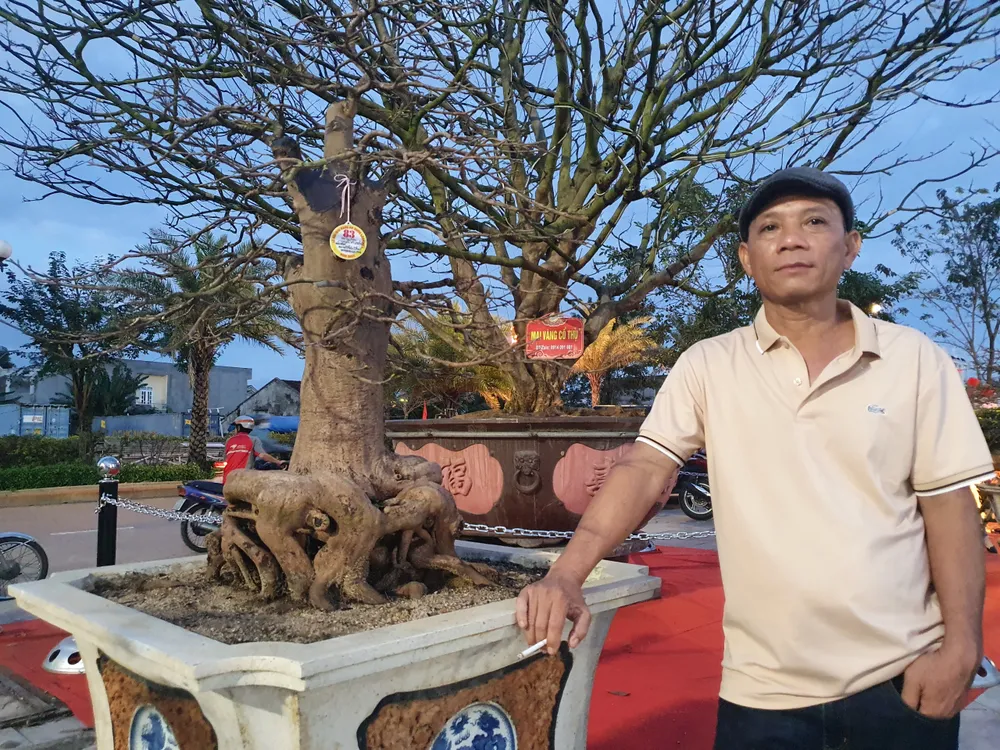 Anh Nguyễn Văn Nhất nói về cây mai hơn 100 năm tuổi cùng chậu mai cổ thụ độc đáo của mình. Ảnh: QN Anh Nguyễn Văn Nhất nói về cây mai hơn 100 năm tuổi cùng chậu mai cổ thụ độc đáo của mình. Ảnh: QN