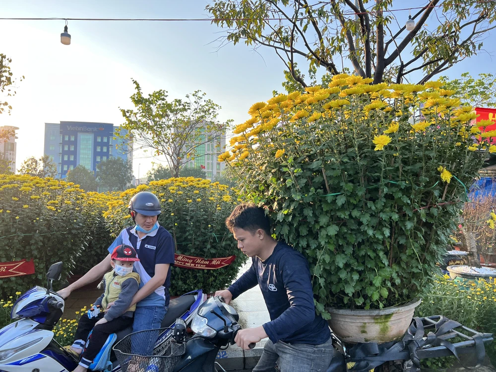 Đến cuối chiều 28 Tết, nhiều người tìm cho mình những chậu hoa đẹp để về chưng Tết. Ảnh QN