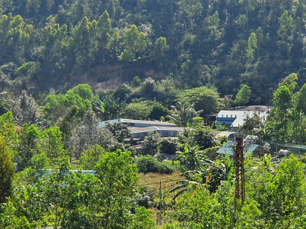 Có nhiều công trình xây dựng trên đất lâm nghiệp ở thung lũng Quy Hoà. Ảnh QN