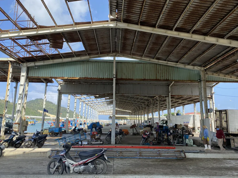 Cảng cá Đề Gi là nơi buôn bán, trú đậu tàu thuyền của Phù Cát và khu vực lân cận. Ảnh: NQ