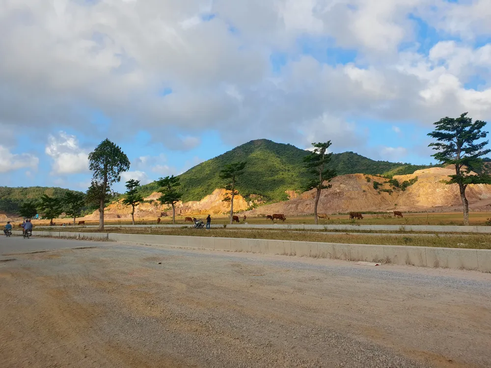 Dự án ngàn tỉ sau gần chín năm được triển khai thì đến nay trở thành nơi chăn bò của người dân. Ảnh QN