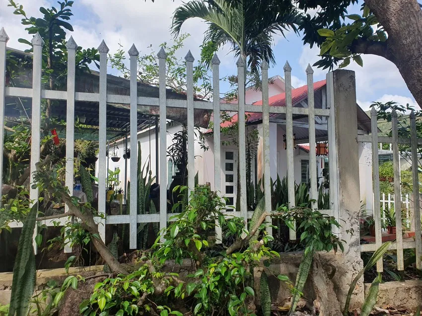 Tình trạng xây dựng trái phép diễn ra tràn lan trên địa bàn TP Quy Nhơn. Ảnh QN Tình trạng xây dựng trái phép diễn ra tràn lan trên địa bàn TP Quy Nhơn. Ảnh QN