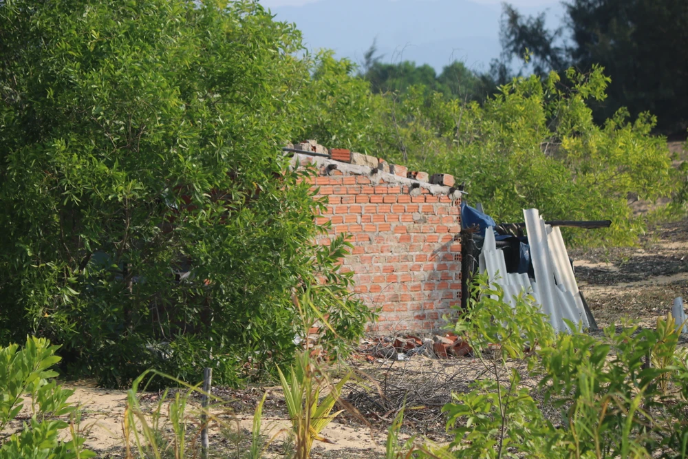 Tình trạng lấn chiếm xây dựng xảy ra chủ yếu ở thôn Vĩnh Lợi 1, Vĩnh Lợi 2 và Vĩnh Lợi 3. Ảnh QN