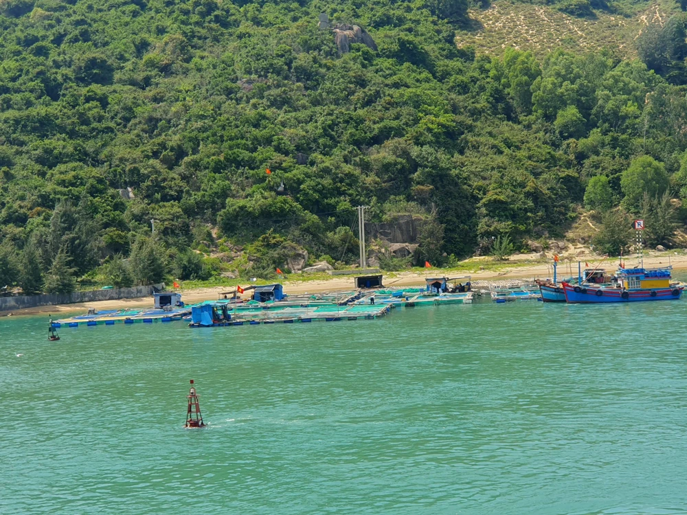 Dọc bờ xuất hiện nhiều lồng bè nuôi cá, nuôi hàu tự phát. Ảnh: QN Dọc bờ xuất hiện nhiều lồng bè nuôi cá, nuôi hàu tự phát. Ảnh: QN