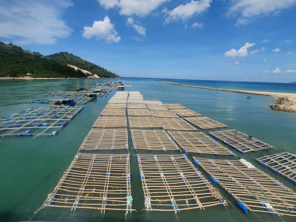 Hàng chục trường hợp nuôi trồng thuỷ sản tự phát dưới chân cầu Đề Gi. Ảnh: QN Hàng chục trường hợp nuôi trồng thuỷ sản tự phát dưới chân cầu Đề Gi. Ảnh: QN