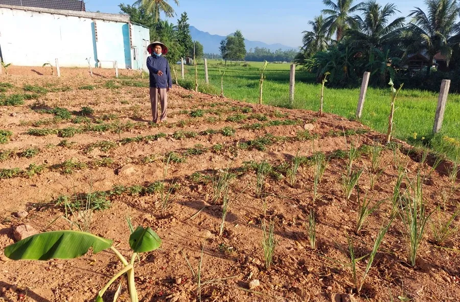 Thửa đất của ông Liêm liên quan trong vụ án. Ảnh:NS