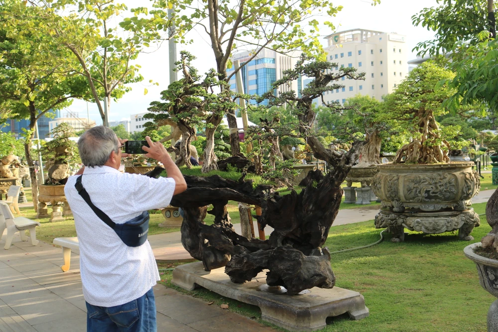 Người dân thích thú chụp ảnh cùng những cây cảnh khủng. Ảnh: QN