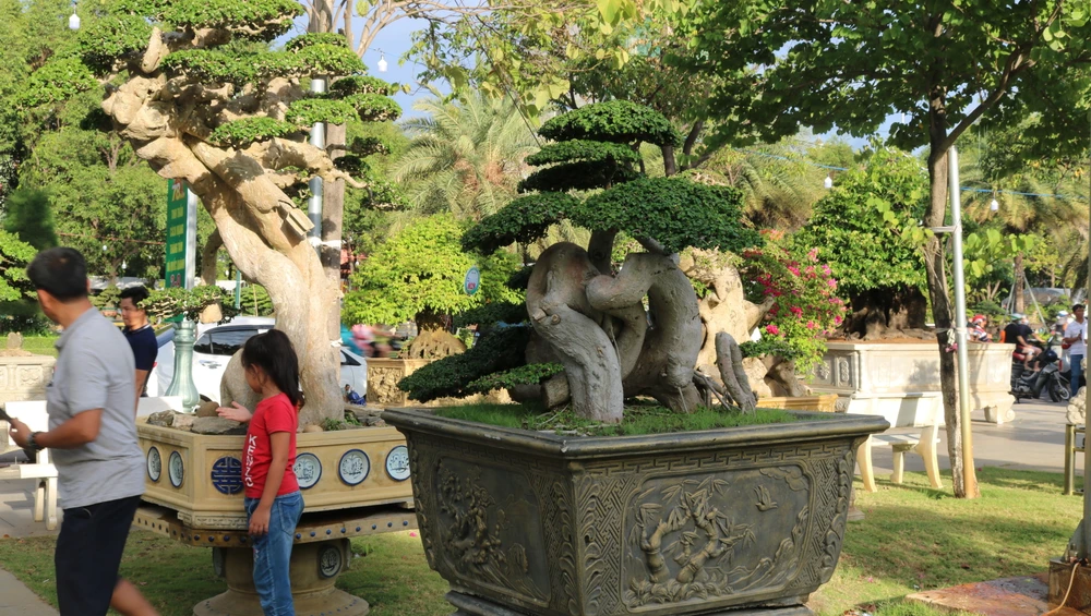 Hàng trăm tác phẩm với dáng thế độc lạ được các nghệ nhân mang đến trưng bày tại khu vực quảng trường TP Quy Nhơn. Ảnh: QN