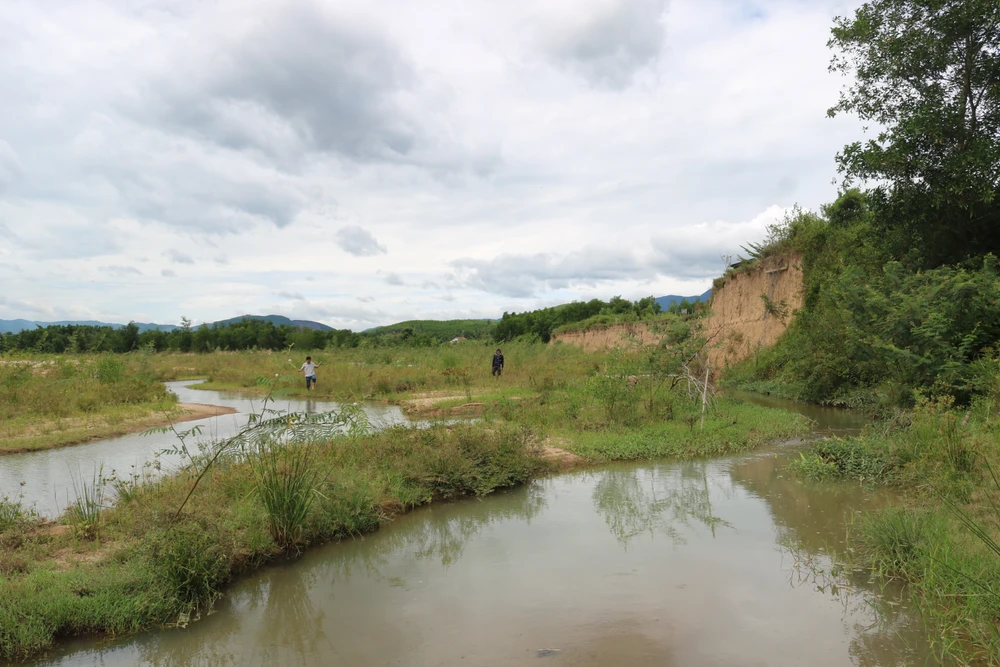 Việc chỉnh trị dòng chảy sông Hà Thanh cần sớm thực hiện nhằm khắc phục, hạn chế sạt lở làm mất đất, tài sản của người dân. Ảnh: QN