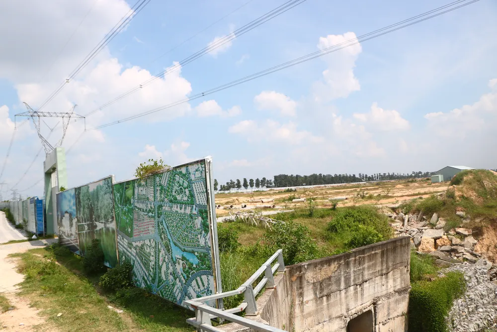 Bình Dương thông tin việc khởi tố 3 người vụ 43 ha đất vàng ảnh 4