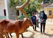 Bình Phước khởi công hàng loạt tuyến đường trọng điểm ảnh 1 Bình Phước giúp dân thoát nghèo bền vững