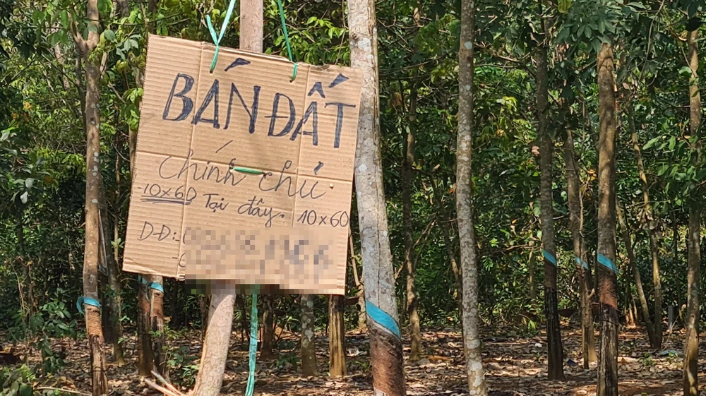 Tình trạng người đồng bào dân tộc thiểu số cầm cố, vay lãi nặng bán đất diễn ra khá phổ biến ở Bình Phước. Ảnh: LÊ ÁNH